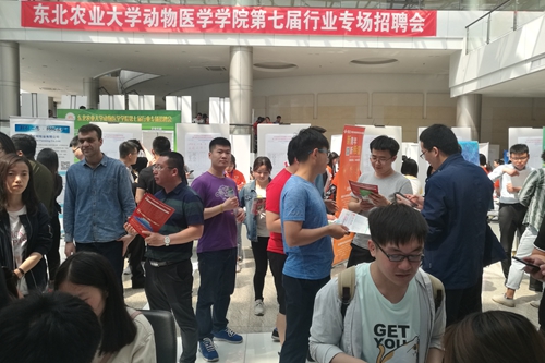 行业专场招聘会现场